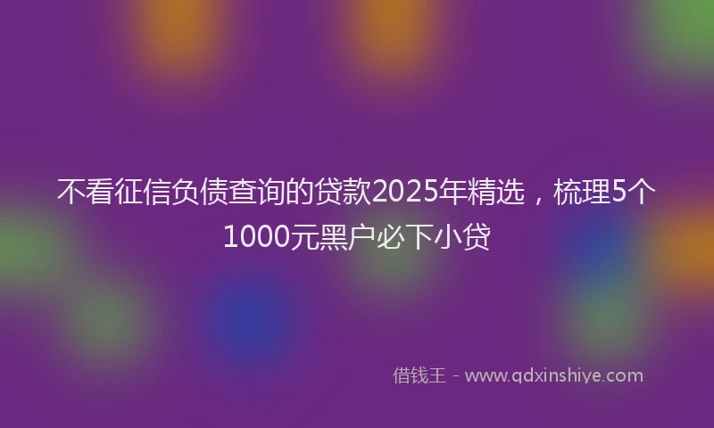 不看征信负债查询的贷款2025年精选，梳理5个1000元黑户必下小贷