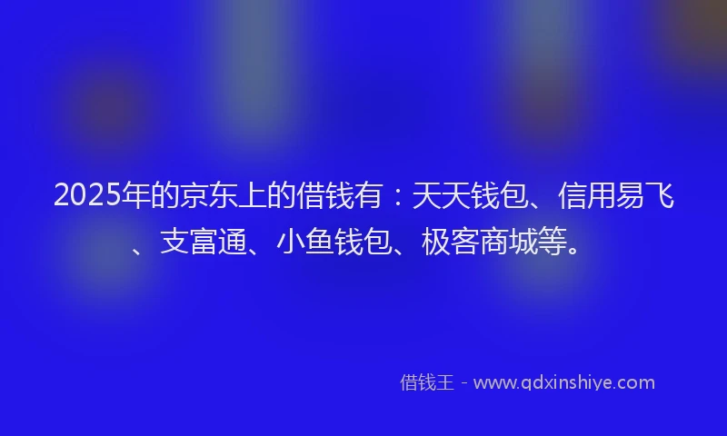 2025年的京东上的借钱有：天天钱包、信用易飞、支富通、小鱼钱包、极客商城等。