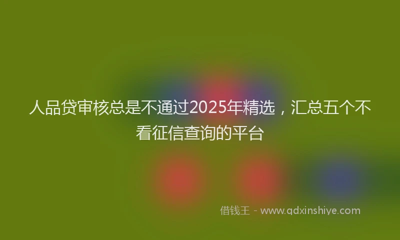 人品贷审核总是不通过2025年精选，汇总五个不看征信查询的平台