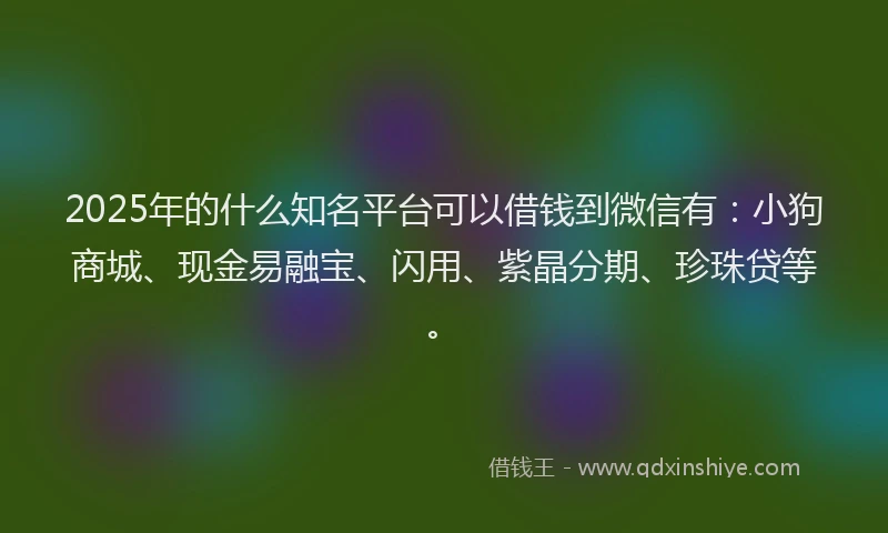 2025年的什么知名平台可以借钱到微信有：小狗商城、现金易融宝、闪用、紫晶分期、珍珠贷等。