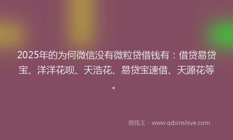 2025年的为何微信没有微粒贷借钱有：借贷易贷宝、洋洋花呗、天浩花、易贷宝速借、天源花等。