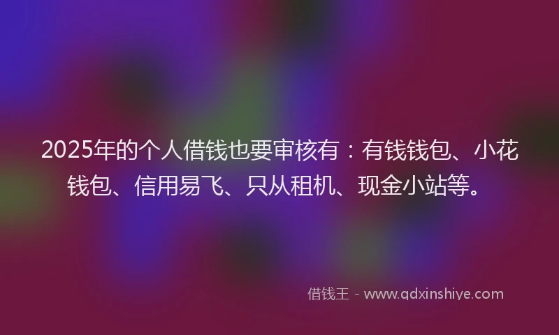 2025年的个人借钱也要审核有：有钱钱包、小花钱包、信用易飞、只从租机、现金小站等。