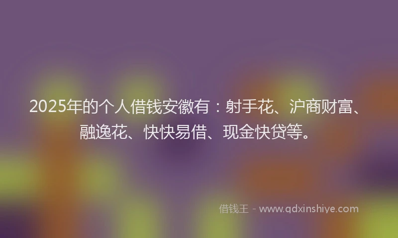 2025年的个人借钱安徽有：射手花、沪商财富、融逸花、快快易借、现金快贷等。