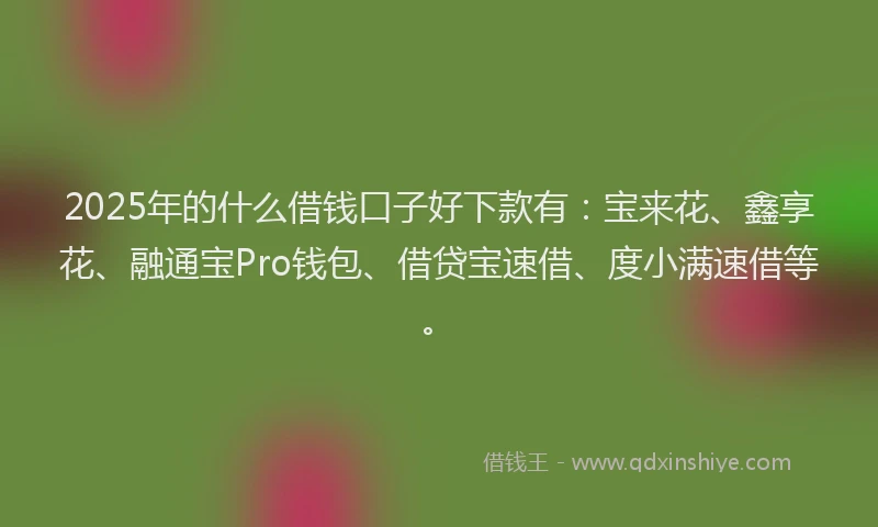 2025年的什么借钱口子好下款有：宝来花、鑫享花、融通宝Pro钱包、借贷宝速借、度小满速借等。