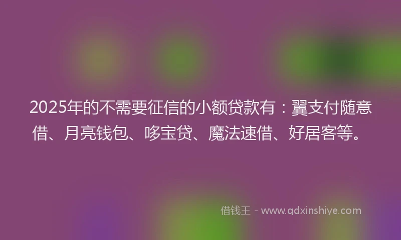 2025年的不需要征信的小额贷款有：翼支付随意借、月亮钱包、哆宝贷、魔法速借、好居客等。