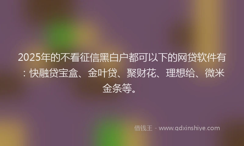 2025年的不看征信黑白户都可以下的网贷软件有：快融贷宝盒、金叶贷、聚财花、理想给、微米金条等。