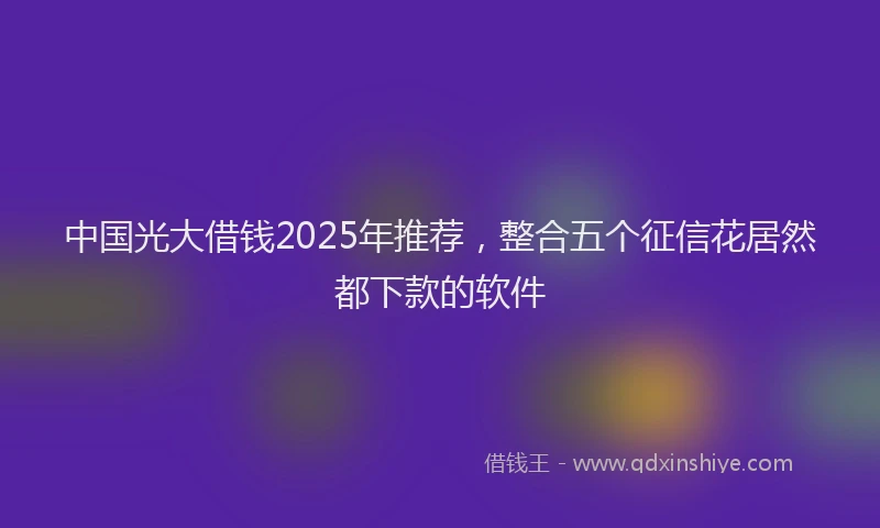 中国光大借钱2025年推荐，整合五个征信花居然都下款的软件
