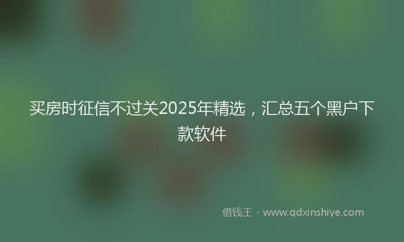 买房时征信不过关2025年精选，汇总五个黑户下款软件