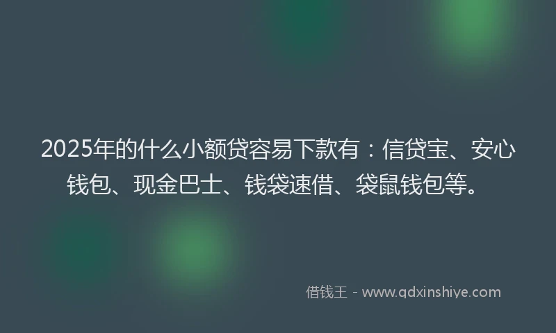 2025年的什么小额贷容易下款有：信贷宝、安心钱包、现金巴士、钱袋速借、袋鼠钱包等。