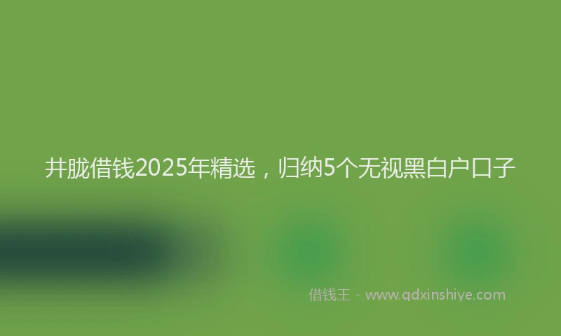 井胧借钱2025年精选，归纳5个无视黑白户口子