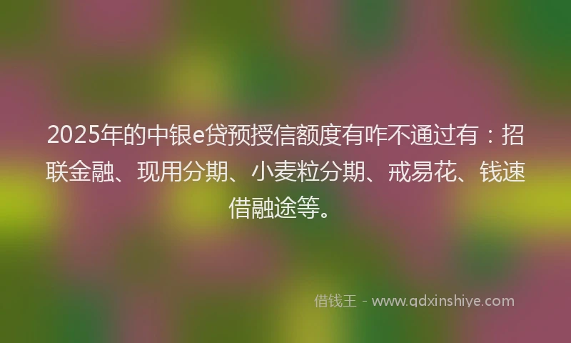 2025年的中银e贷预授信额度有咋不通过有：招联金融、现用分期、小麦粒分期、戒易花、钱速借融途等。