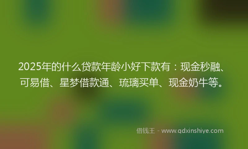2025年的什么贷款年龄小好下款有：现金秒融、可易借、星梦借款通、琉璃买单、现金奶牛等。