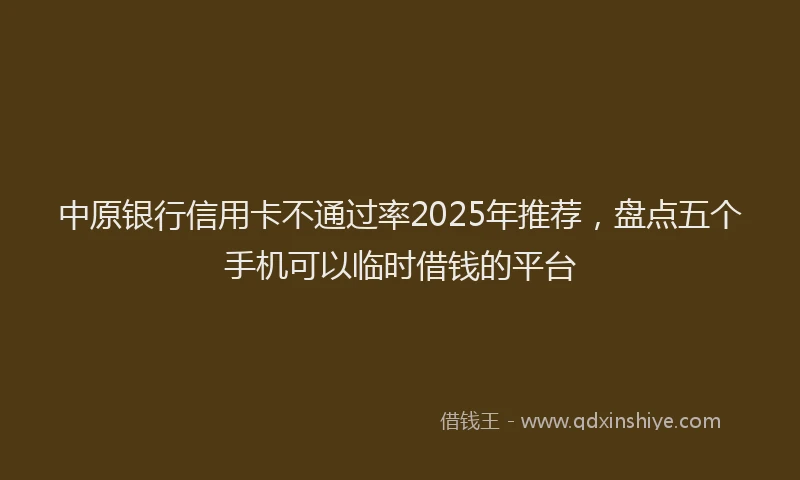 中原银行信用卡不通过率2025年推荐，盘点五个手机可以临时借钱的平台