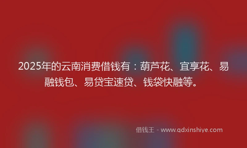 2025年的云南消费借钱有：葫芦花、宜享花、易融钱包、易贷宝速贷、钱袋快融等。