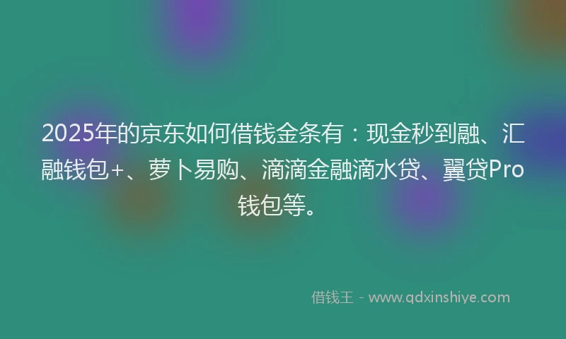 2025年的京东如何借钱金条有：现金秒到融、汇融钱包+、萝卜易购、滴滴金融滴水贷、翼贷Pro钱包等。