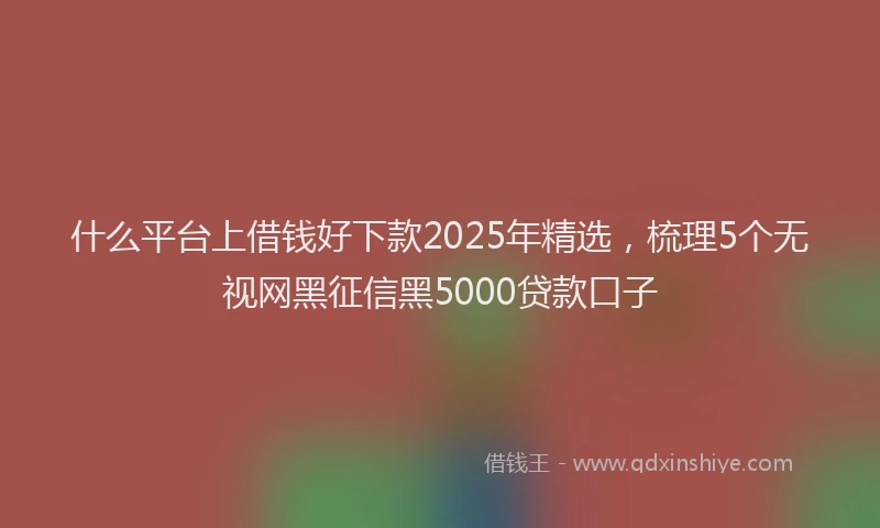 什么平台上借钱好下款2025年精选，梳理5个无视网黑征信黑5000贷款口子