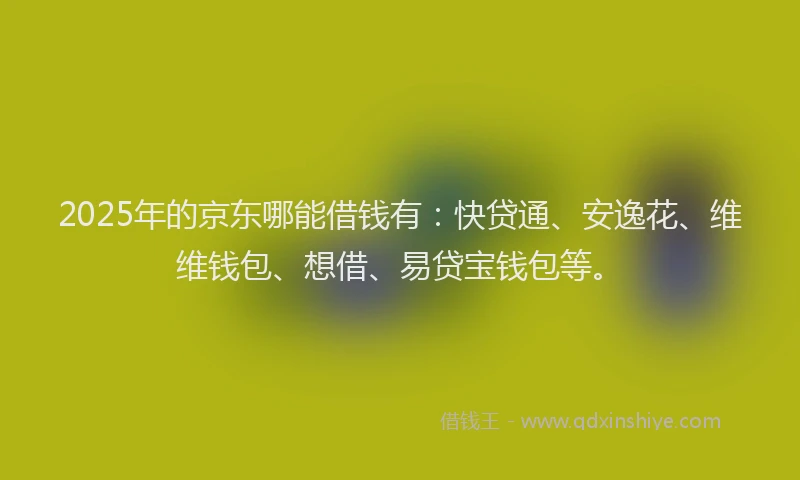 2025年的京东哪能借钱有：快贷通、安逸花、维维钱包、想借、易贷宝钱包等。