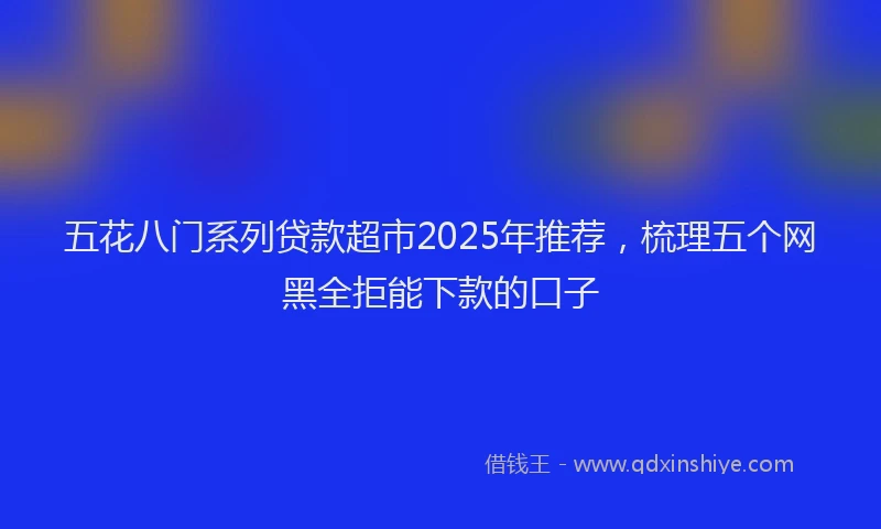 五花八门系列贷款超市2025年推荐，梳理五个网黑全拒能下款的口子