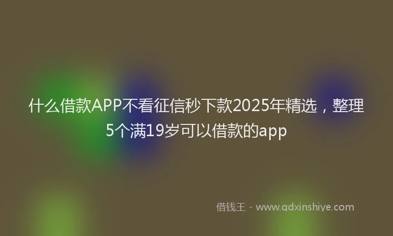 什么借款APP不看征信秒下款2025年精选，整理5个满19岁可以借款的app