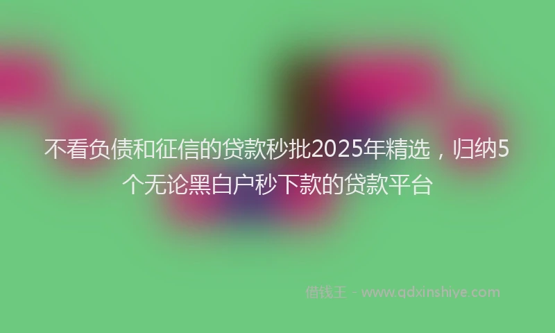 不看负债和征信的贷款秒批2025年精选，归纳5个无论黑白户秒下款的贷款平台