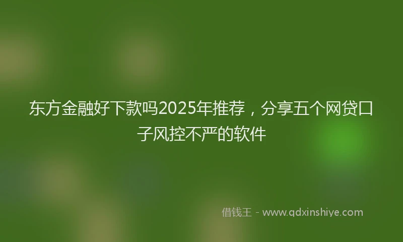 东方金融好下款吗2025年推荐，分享五个网贷口子风控不严的软件