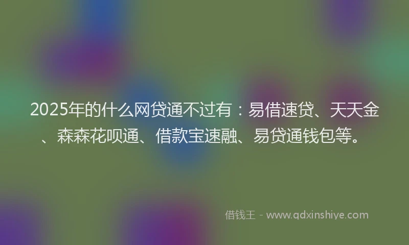 2025年的什么网贷通不过有：易借速贷、天天金、森森花呗通、借款宝速融、易贷通钱包等。