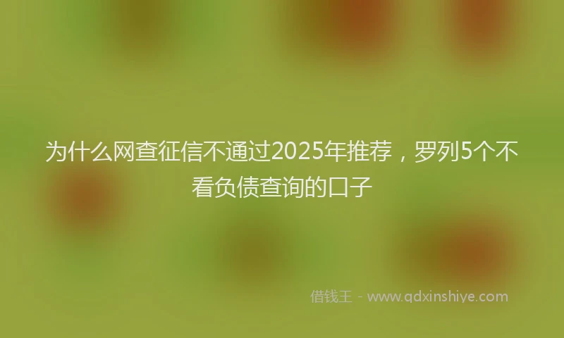 为什么网查征信不通过2025年推荐，罗列5个不看负债查询的口子