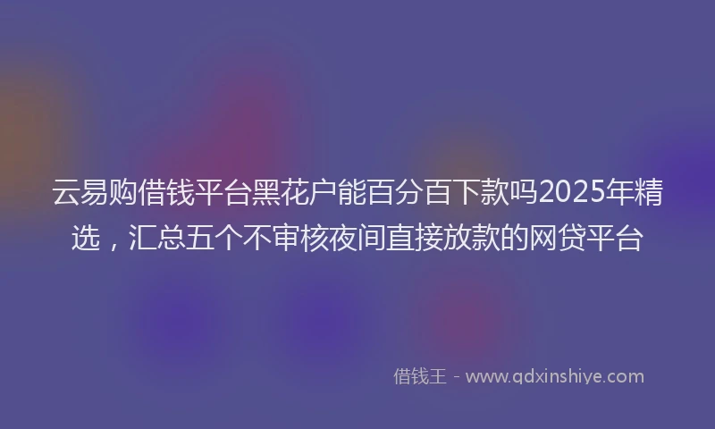 云易购借钱平台黑花户能百分百下款吗2025年精选，汇总五个不审核夜间直接放款的网贷平台