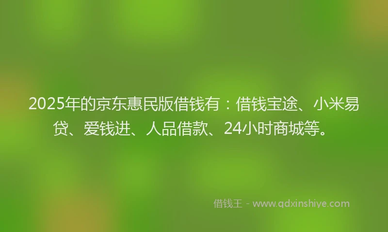 2025年的京东惠民版借钱有：借钱宝途、小米易贷、爱钱进、人品借款、24小时商城等。
