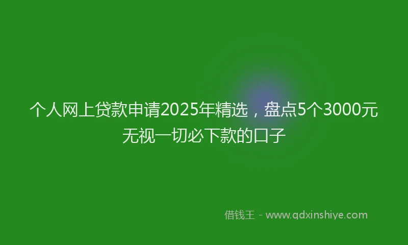 个人网上贷款申请2025年精选，盘点5个3000元无视一切必下款的口子