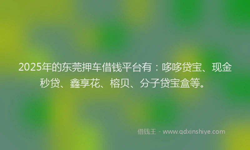 2025年的东莞押车借钱平台有：哆哆贷宝、现金秒贷、鑫享花、榕贝、分子贷宝盒等。
