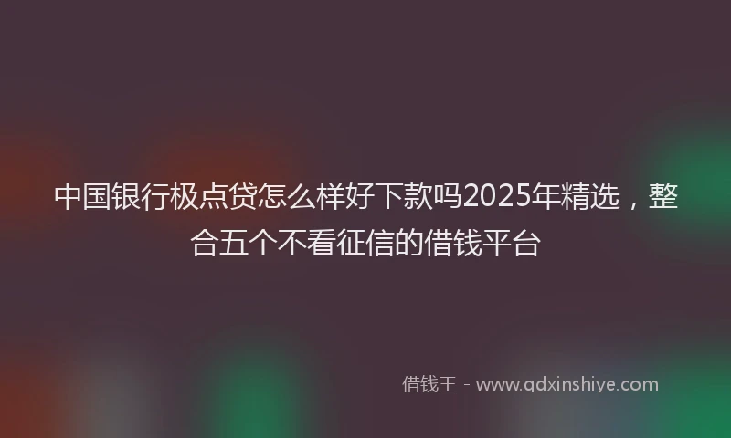 中国银行极点贷怎么样好下款吗2025年精选，整合五个不看征信的借钱平台