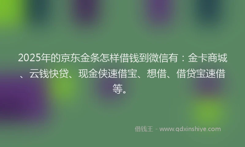 2025年的京东金条怎样借钱到微信有：金卡商城、云钱快贷、现金侠速借宝、想借、借贷宝速借等。