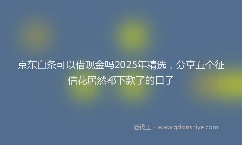 京东白条可以借现金吗2025年精选，分享五个征信花居然都下款了的口子