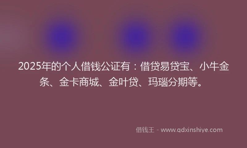 2025年的个人借钱公证有：借贷易贷宝、小牛金条、金卡商城、金叶贷、玛瑙分期等。