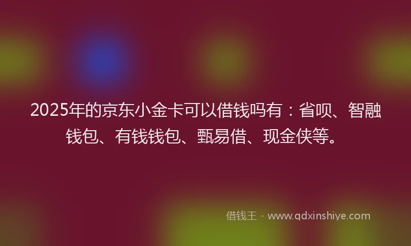 2025年的京东小金卡可以借钱吗有：省呗、智融钱包、有钱钱包、甄易借、现金侠等。