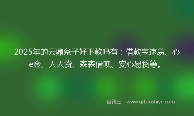 2025年的云鼎条子好下款吗有：借款宝速易、心e金、人人贷、森森借呗、安心易贷等。