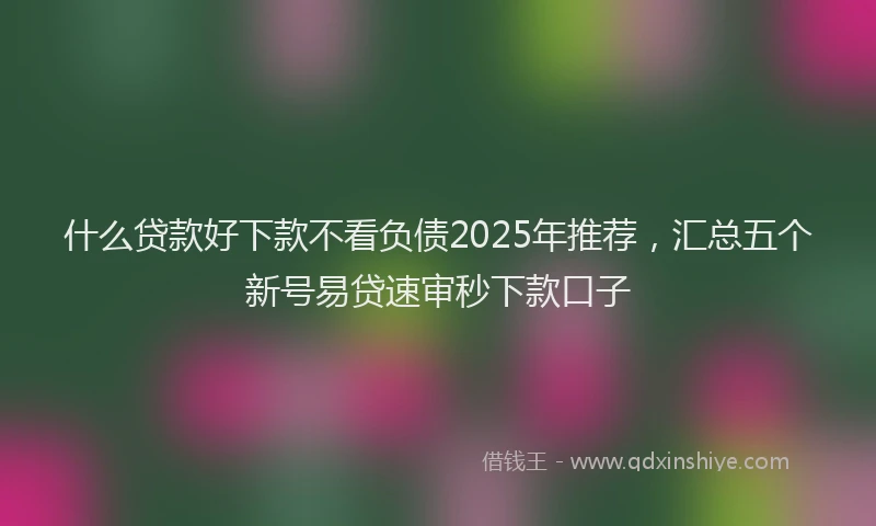 什么贷款好下款不看负债2025年推荐，汇总五个新号易贷速审秒下款口子