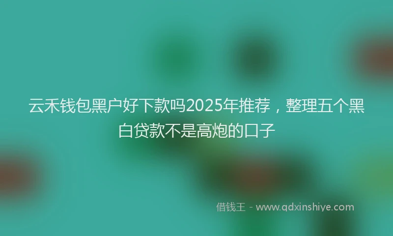云禾钱包黑户好下款吗2025年推荐，整理五个黑白贷款不是高炮的口子