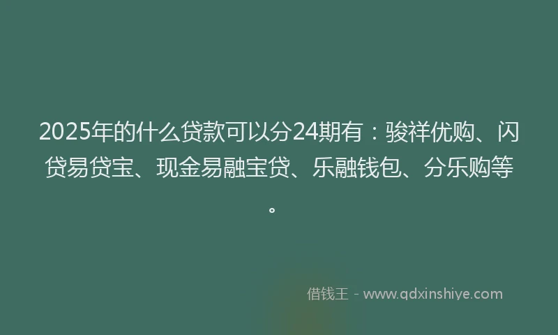2025年的什么贷款可以分24期有：骏祥优购、闪贷易贷宝、现金易融宝贷、乐融钱包、分乐购等。