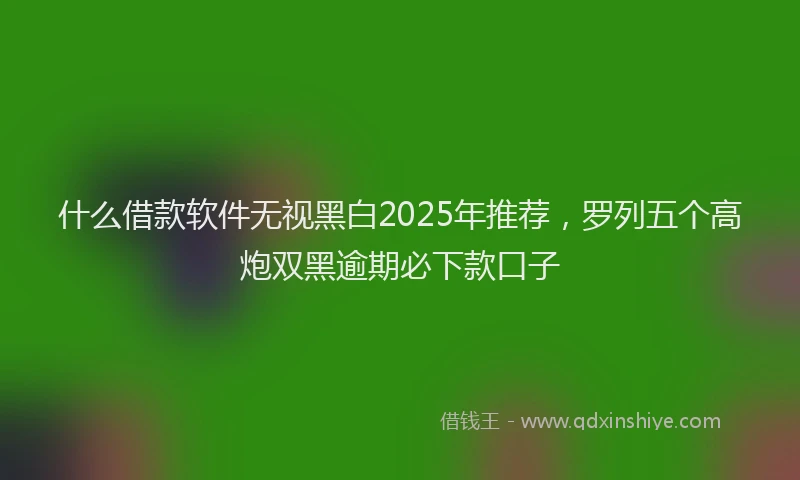 什么借款软件无视黑白2025年推荐，罗列五个高炮双黑逾期必下款口子