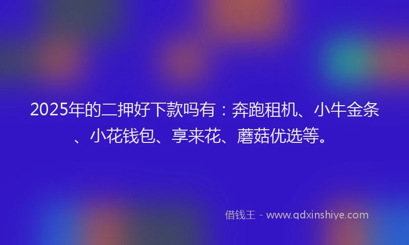 2025年的二押好下款吗有：奔跑租机、小牛金条、小花钱包、享来花、蘑菇优选等。