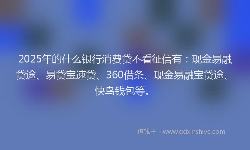 2025年的什么银行消费贷不看征信有：现金易融贷途、易贷宝速贷、360借条、现金易融宝贷途、快鸟钱包等。