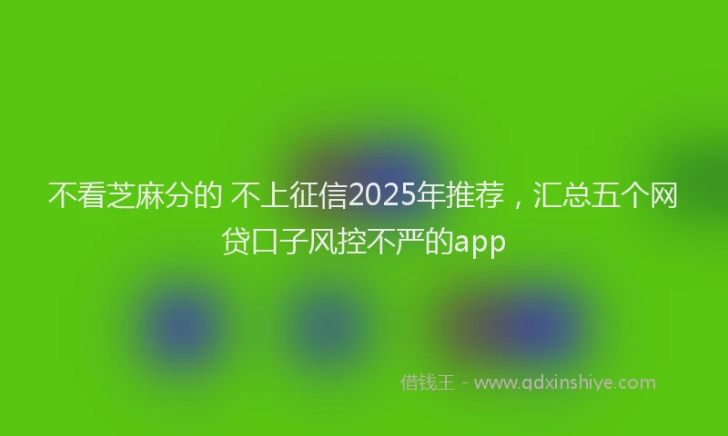 不看芝麻分的 不上征信2025年推荐，汇总五个网贷口子风控不严的app