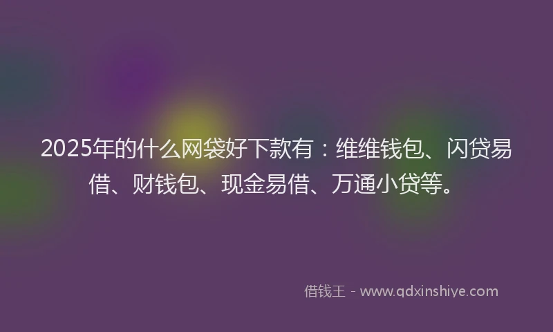 2025年的什么网袋好下款有：维维钱包、闪贷易借、财钱包、现金易借、万通小贷等。