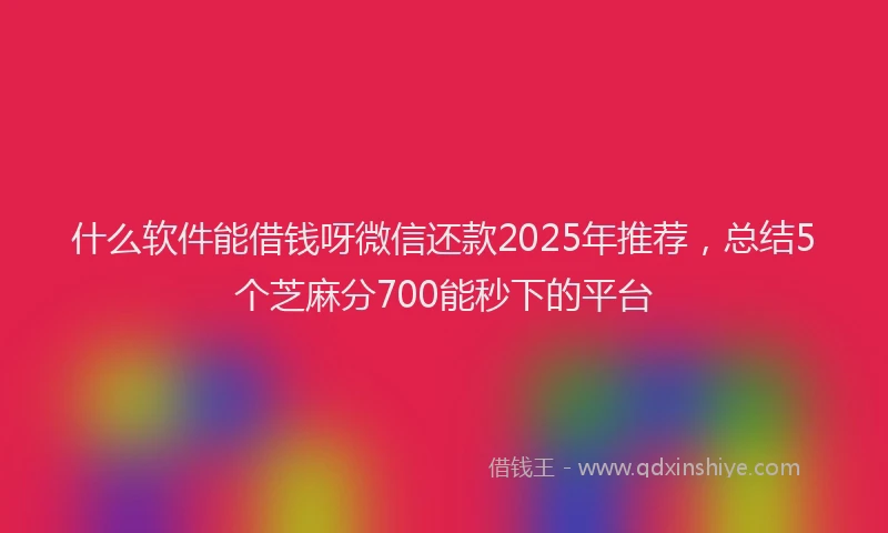 什么软件能借钱呀微信还款2025年推荐，总结5个芝麻分700能秒下的平台