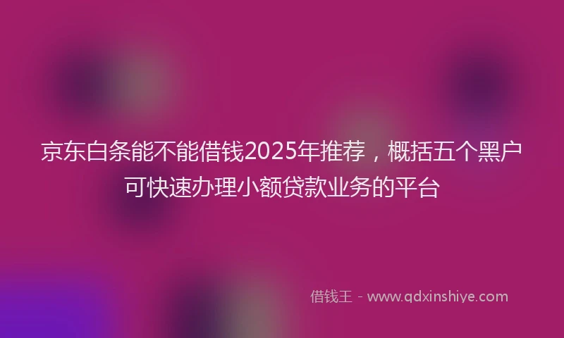 京东白条能不能借钱2025年推荐，概括五个黑户可快速办理小额贷款业务的平台