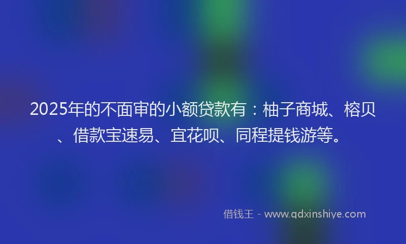 2025年的不面审的小额贷款有：柚子商城、榕贝、借款宝速易、宜花呗、同程提钱游等。