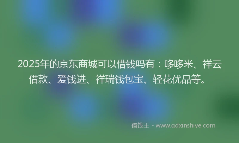2025年的京东商城可以借钱吗有：哆哆米、祥云借款、爱钱进、祥瑞钱包宝、轻花优品等。
