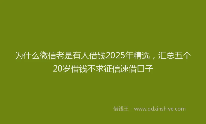 为什么微信老是有人借钱2025年精选，汇总五个20岁借钱不求征信速借口子